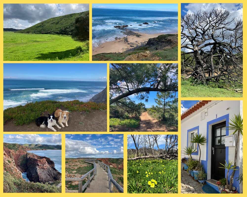 Bordeira in Portugal mit Hund