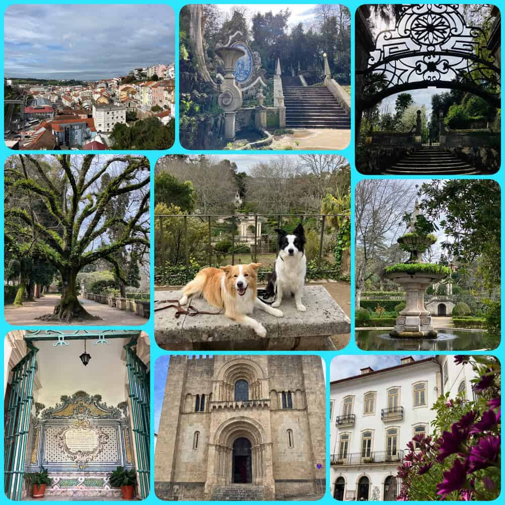 Coimbra Portugal mit Hund