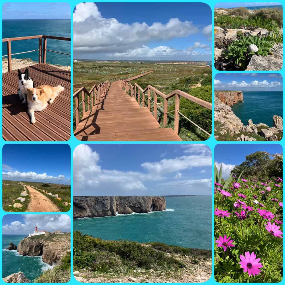 Sagres Portugal mit Hund