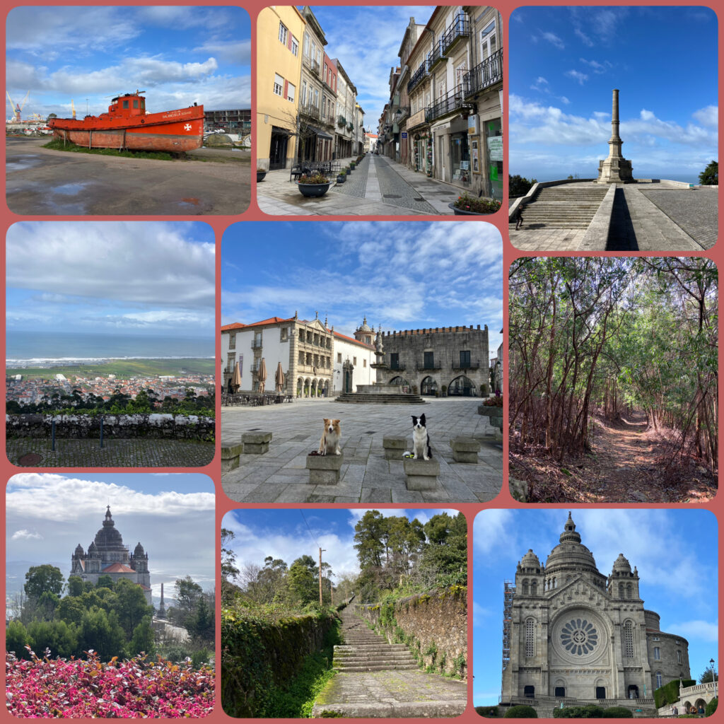 Viana do Castelo in Portugal mit Hund