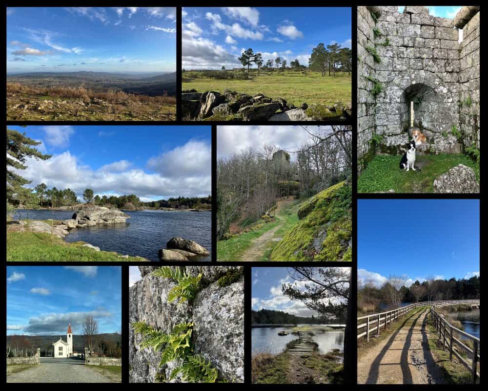 Vila Pouca Portugal mit Hund