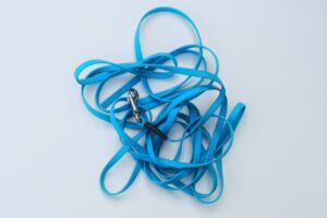 Lange blaue Schleppleine aus griffigem Material, lose aufgewickelt auf weißem Hintergrund, ideal für das Hundetraining und kontrolliertes Freilaufen.