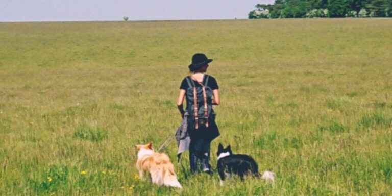 Hundehalterin mit zwei Hunden beim Wandern auf einer Wiese – Rucksack, Outdoor-Kleidung und Weitblick