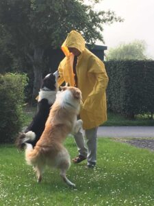 Hundehalter in gelber Regenjacke spielt im Garten mit zwei Hunden bei feuchtem Wetter