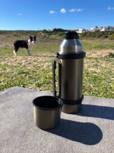 Thermoskanne mit Becherdeckel auf Decke – Hund im Hintergrund bei Outdoorpause im Grünen