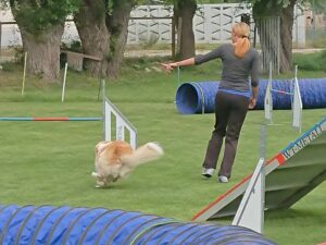 Hundehalterin im Agility-Parcours mit Hund – sportliche Kleidung und Trainingshose im Einsatz