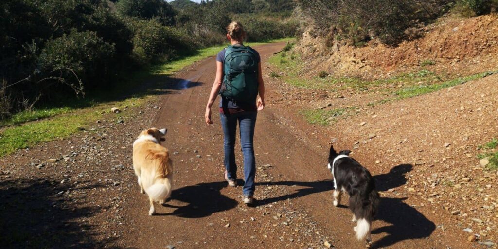 Hundehalterin mit zwei Hunden auf Wanderweg – großer Rucksack und funktionale Kleidung für längere Touren