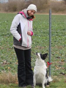 Hundehalterin in Winterjacke und Mütze mit Border Collie im Feld – funktionale Kleidung bei kaltem Wetter
