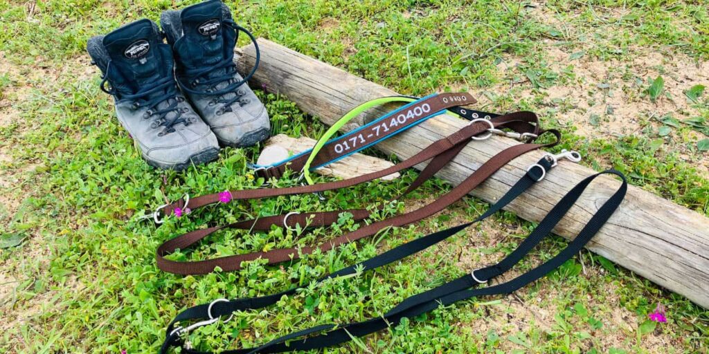 Zwei Wanderstiefel und mehrere Hundeleinen liegen auf einer Wiese neben einem Baumstamm