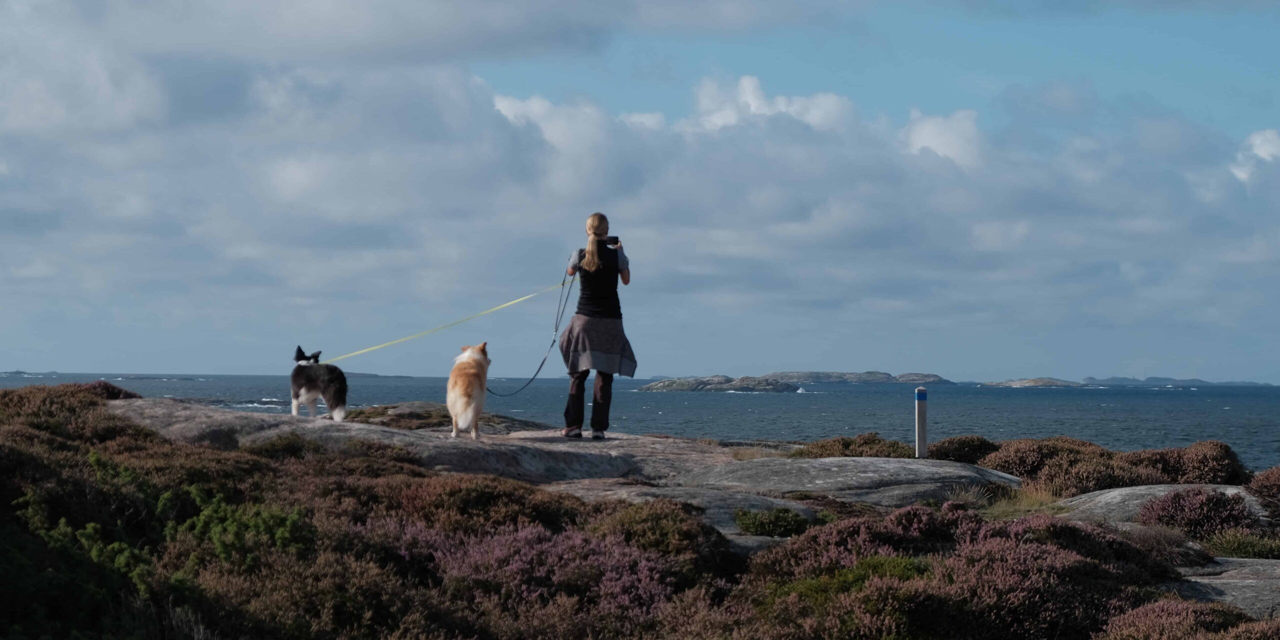 Wanderungen mit Hund