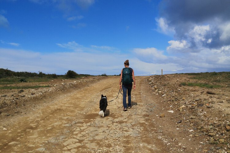 Frau wandert mit angeleintem Hund auf einem sonnigen Feldweg mit weitem Horizont