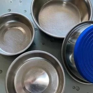 Hundefutter und Tipps zur Fütterung von Hunden