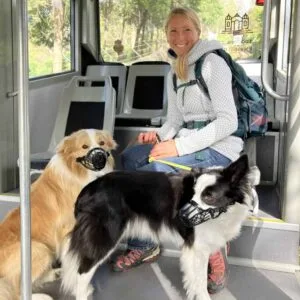Zwei angeleinte Hunde mit Maulkorb im öffentlichen Verkehrsmittel – Beispiel für lokale Vorschriften im Urlaub mit Hund